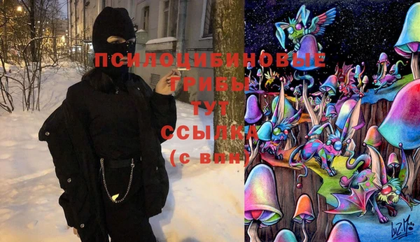каннабис Туринск