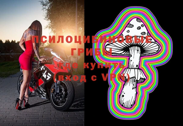 амф Тында