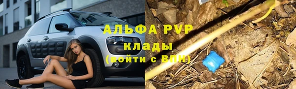 не бодяженный Тутаев